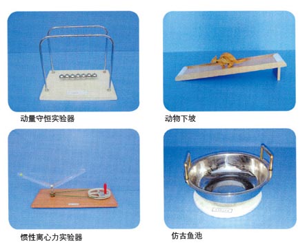 動量守恒實(shí)驗(yàn)器、動物下坡